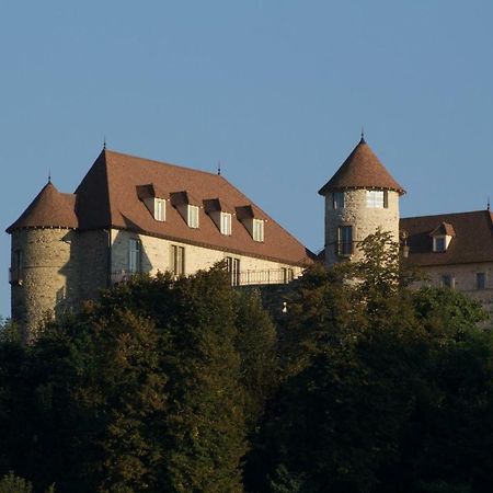 La Tour De Quinsonnas Bed and Breakfast Serezin-de-la-Tour Esterno foto
