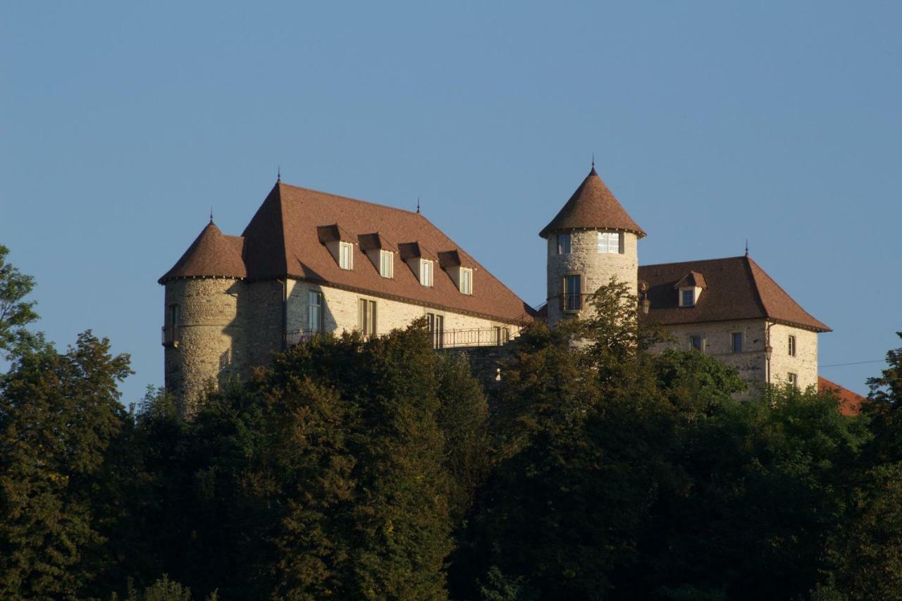 La Tour De Quinsonnas Bed and Breakfast Serezin-de-la-Tour Esterno foto